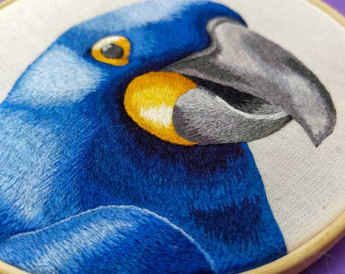 realistic-embroidered-blue-macaw B