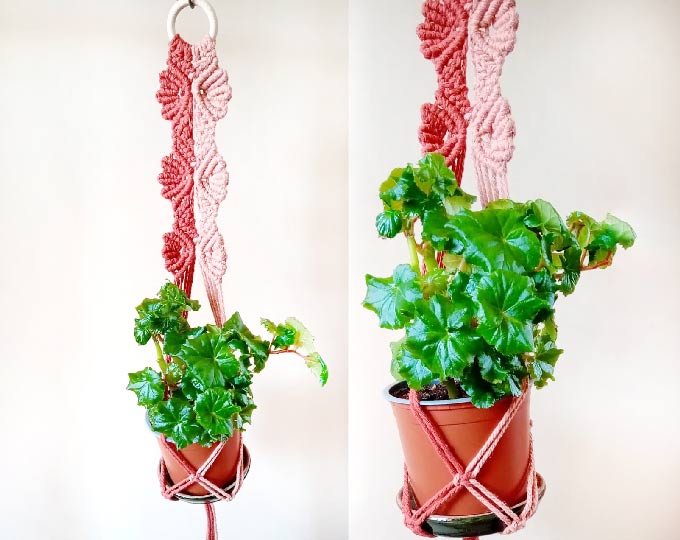 plant-hanger-i-will-protect-you