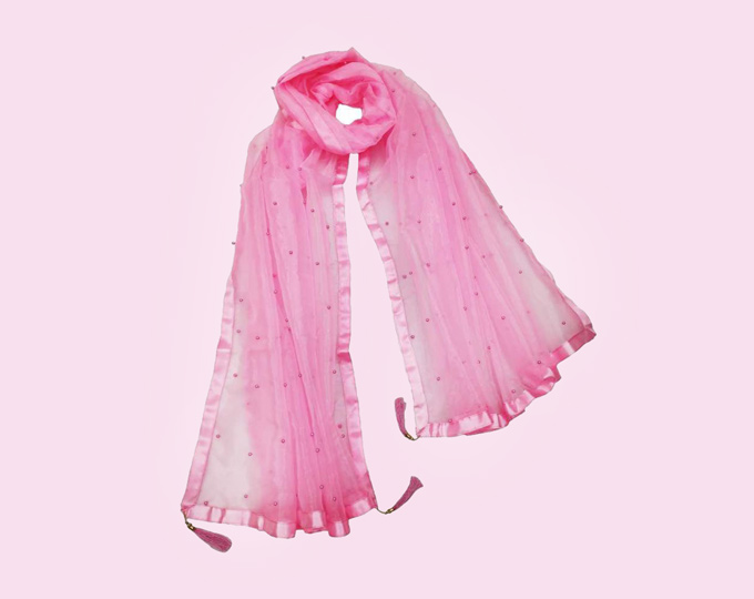 Net-Embellished-Pink-Women-Dupa