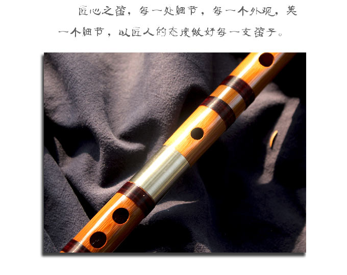 中国竹笛 B