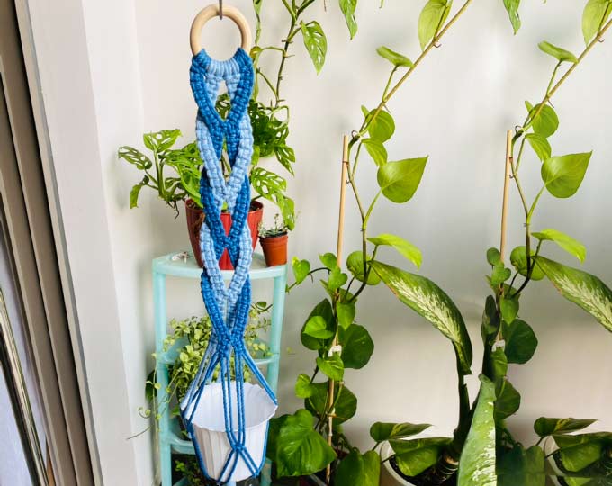 blue-spiral-plant-hanger
