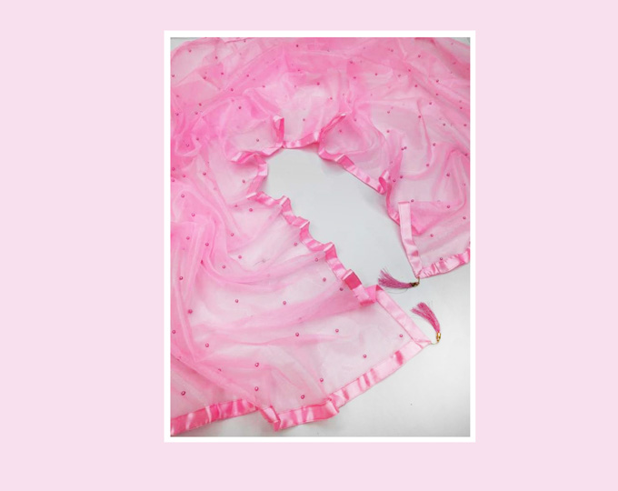 Net-Embellished-Pink-Women-Dupa A