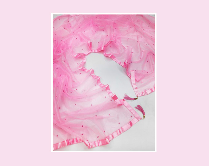 Net-Embellished-Pink-Women-Dupa C